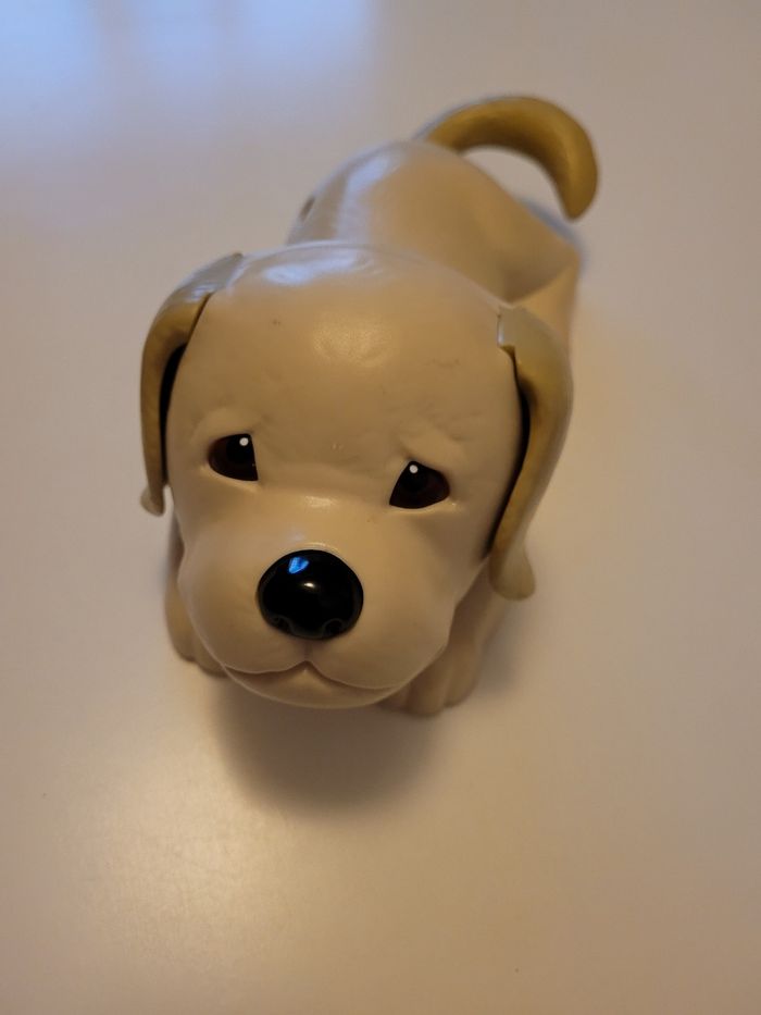 Chien - photo numéro 2