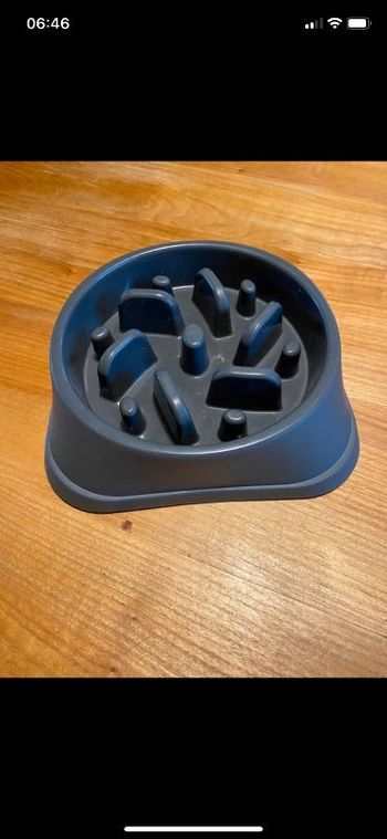 Gamelle anti glouton chat & petit chien