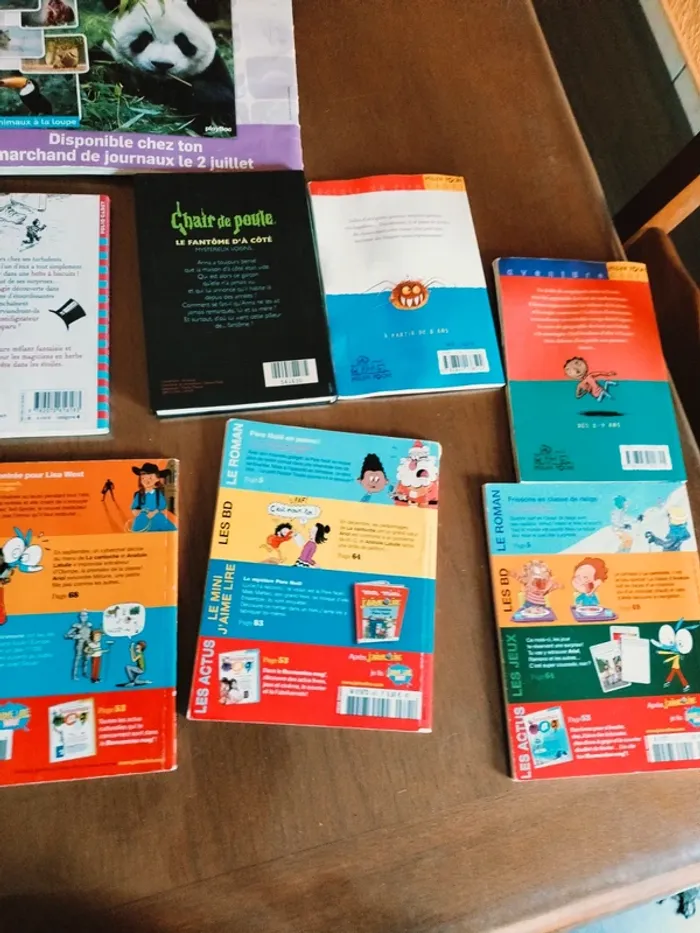 Lot de 10 livres pour enfants 7 /10 ans - photo numéro 12