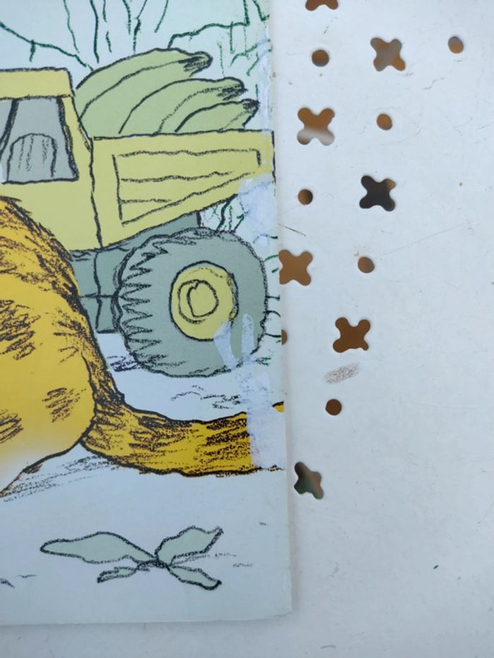 Livre sauve-souris - photo numéro 3