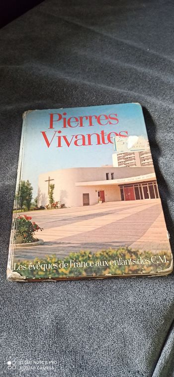 Livre pierres vivantes