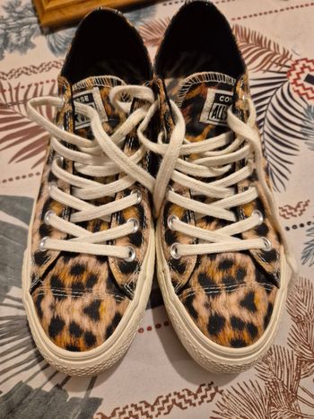 Converse léopard
