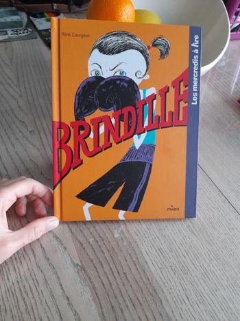 Livre brindille