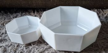 Lot 2 plats blanc Arcopal