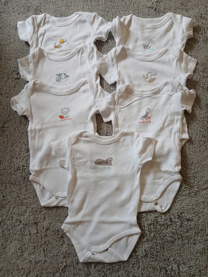 Lot de 16 body - photo numéro 2