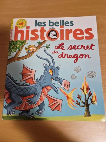 Livre Le secret du dragon