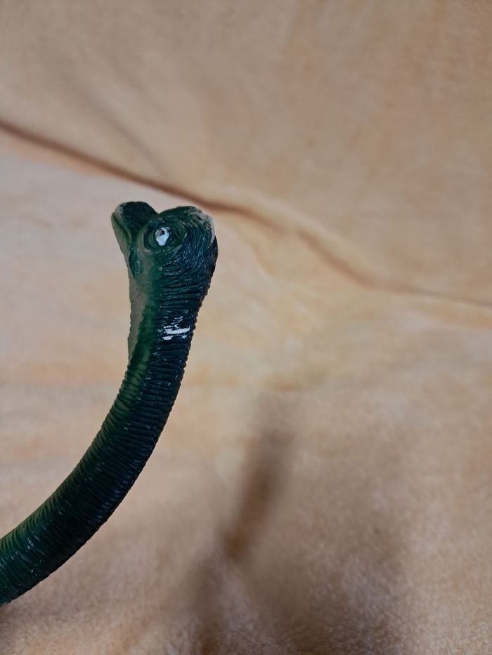 Dinosaure brachiosaure - photo numéro 3