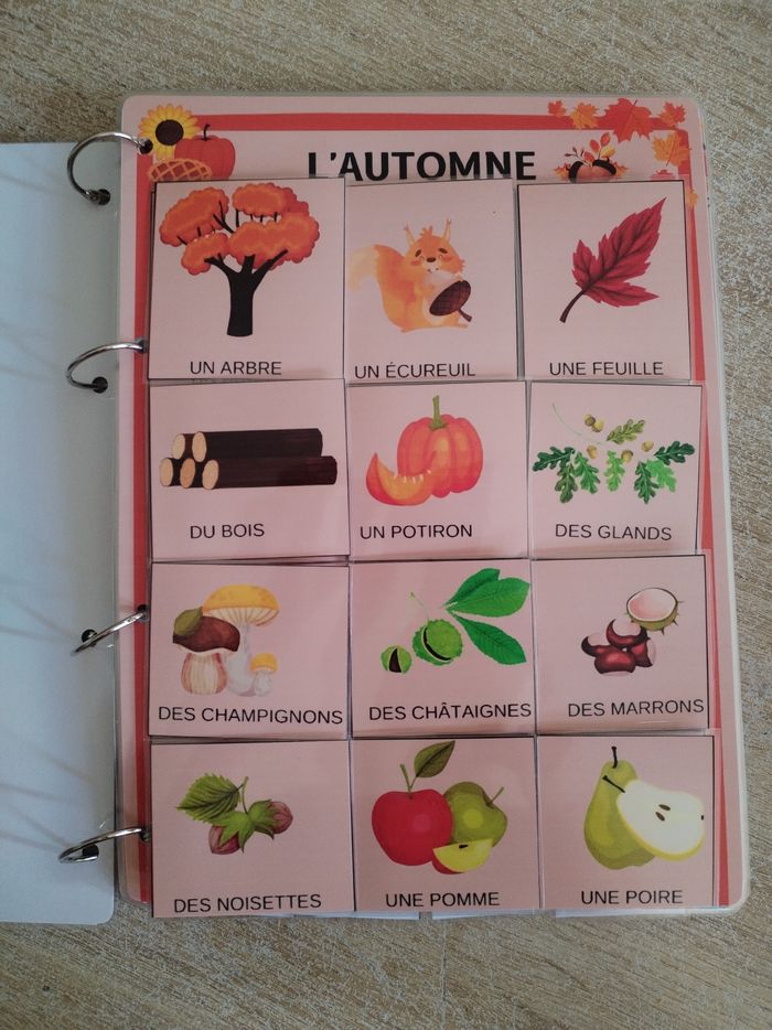 Livre d'activités d'automne - photo numéro 2