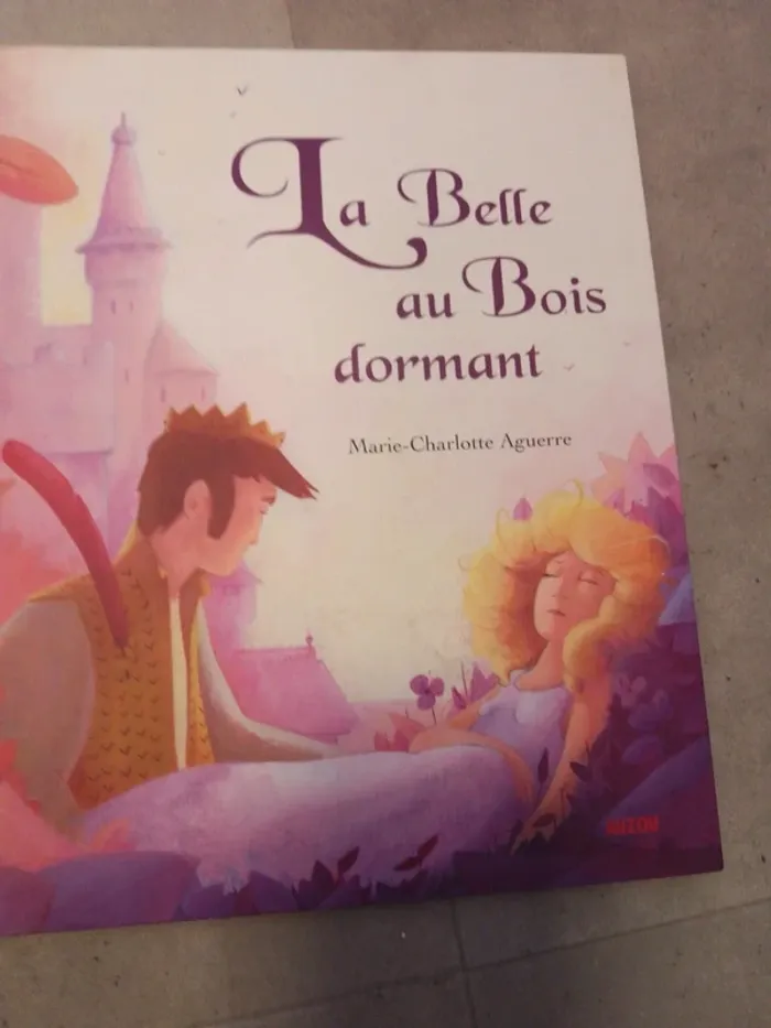Lot de 4 contes - photo numéro 4