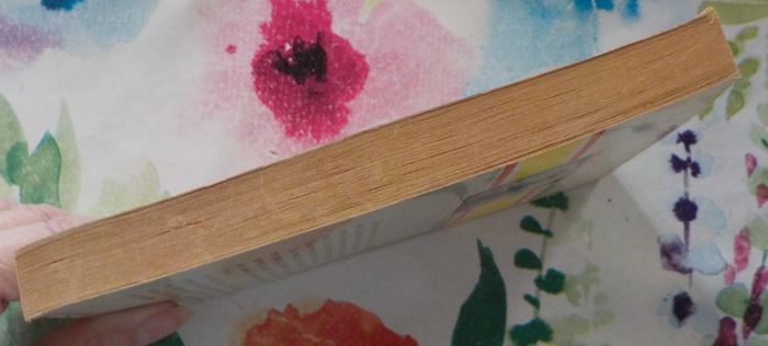 Les géants de Komor de M.A. Rayjean Ed. Fleuve Noir - photo numéro 5