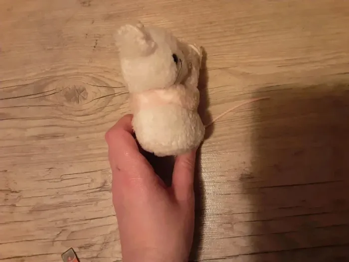 Couple de souris - photo numéro 2