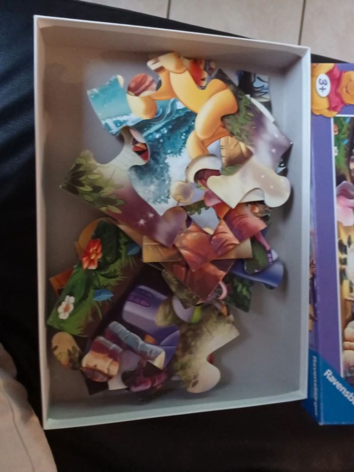 Puzzle géant - photo numéro 3