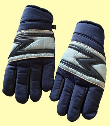 Paire de gants de skis bleus