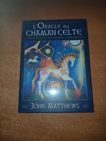 L'oracle du chaman celte