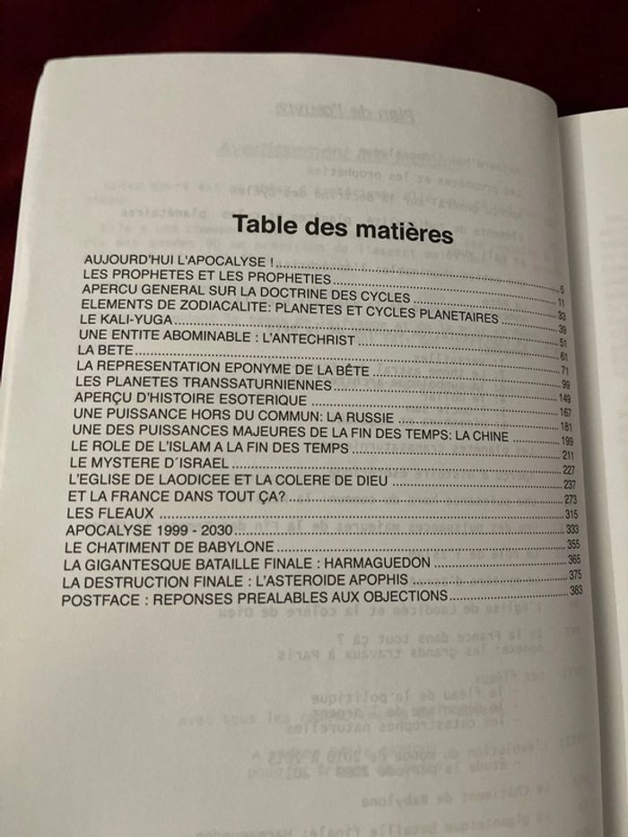 Introuvable sur Vinted et épuisé en librairie ! Livre ésotérique - photo numéro 5