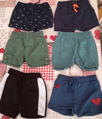 Lot shorts