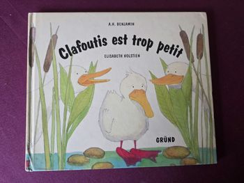 Clafoutis est trop petit 