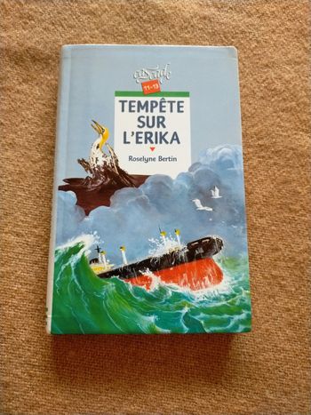 Tempête sur l'Erika de Roselyne Bertin