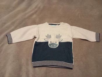 Pull Taille 12 mois