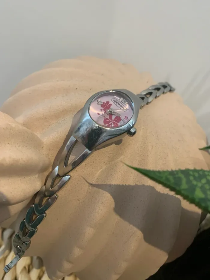 Montre oxbow - photo numéro 3