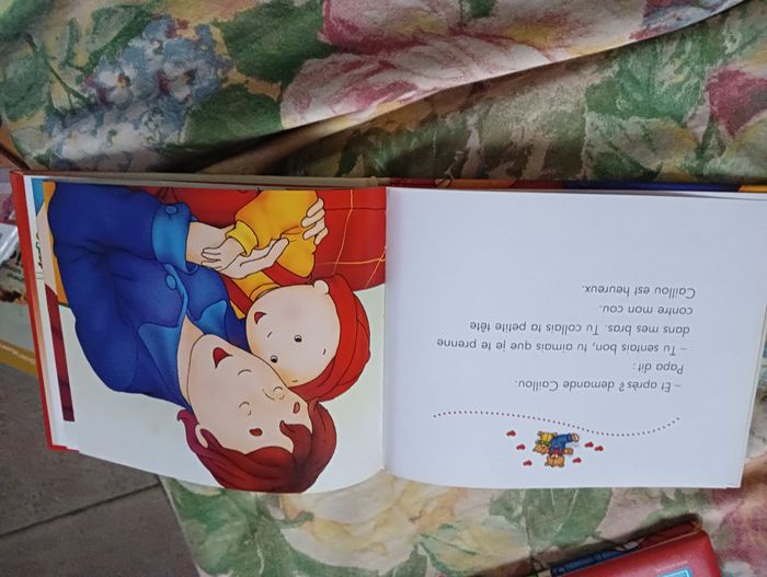 2 livres Caillou - photo numéro 3