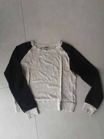Pull léger