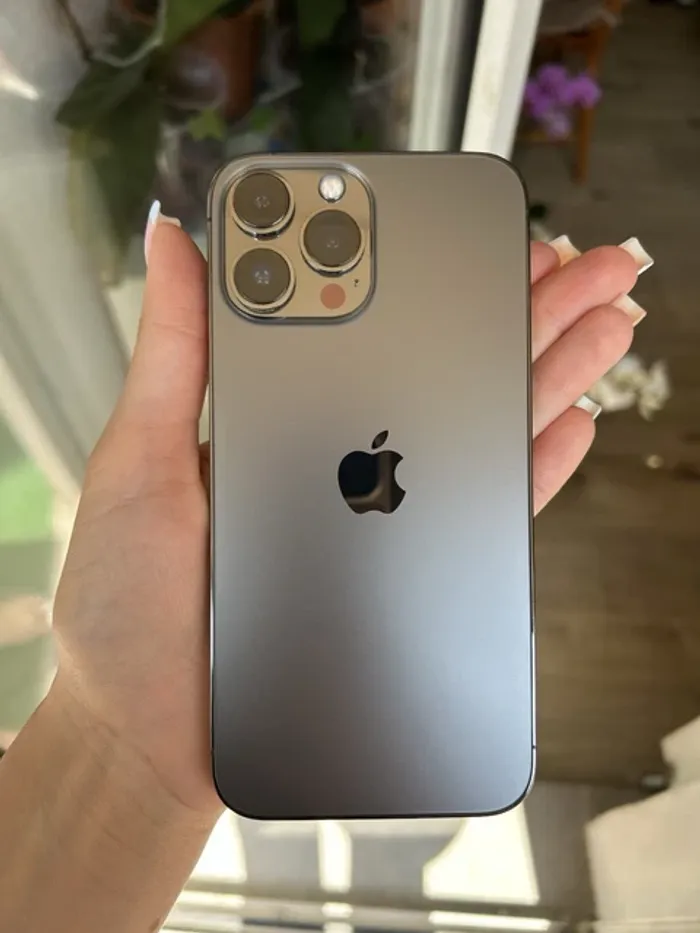 Apple treize - photo numéro 5