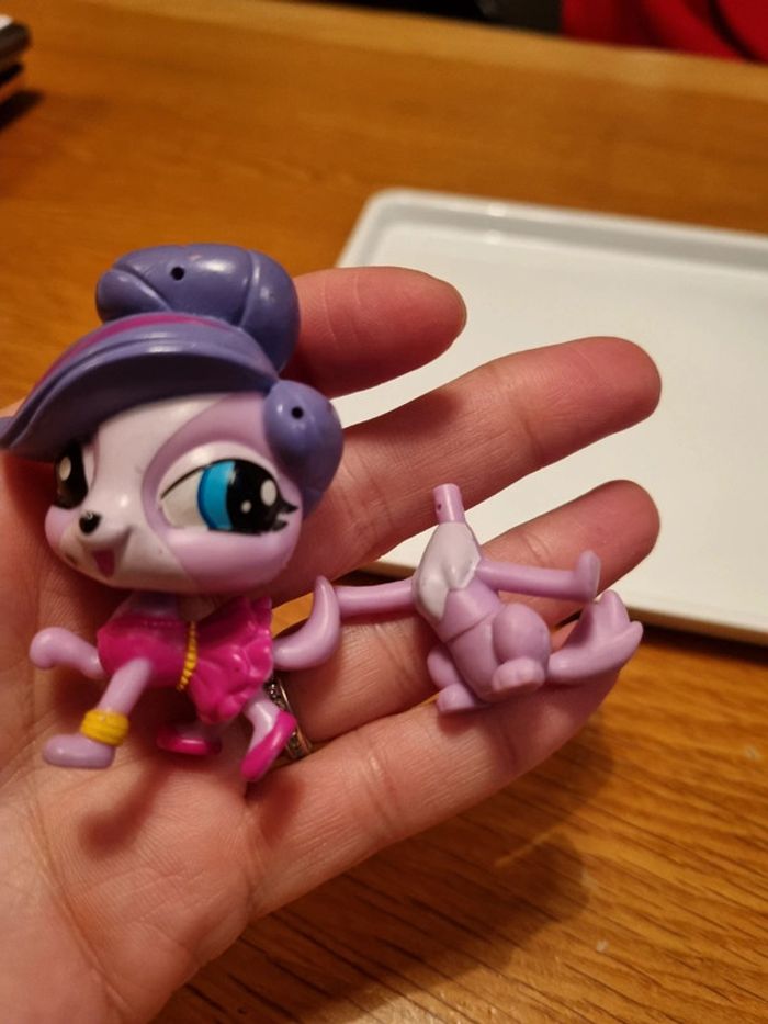 Petshop - photo numéro 2