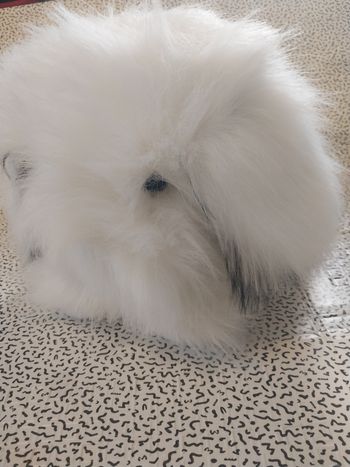 peluche lapin réaliste grande taille 50cm fourrure longue rangement secret neuf