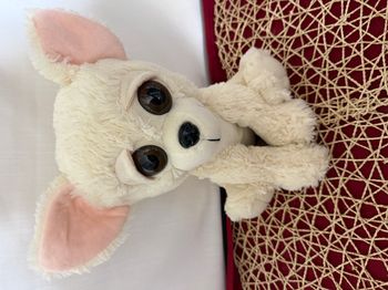 Peluche Loup chien Crème