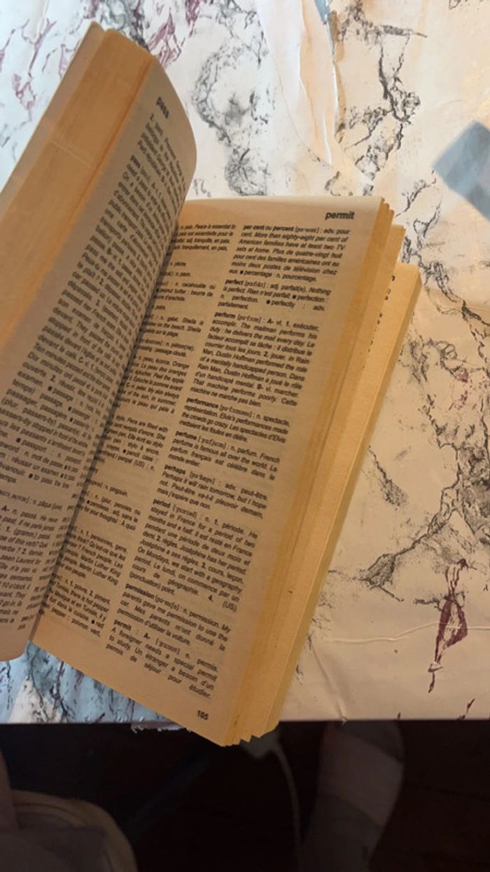 Dictionnaire - photo numéro 3