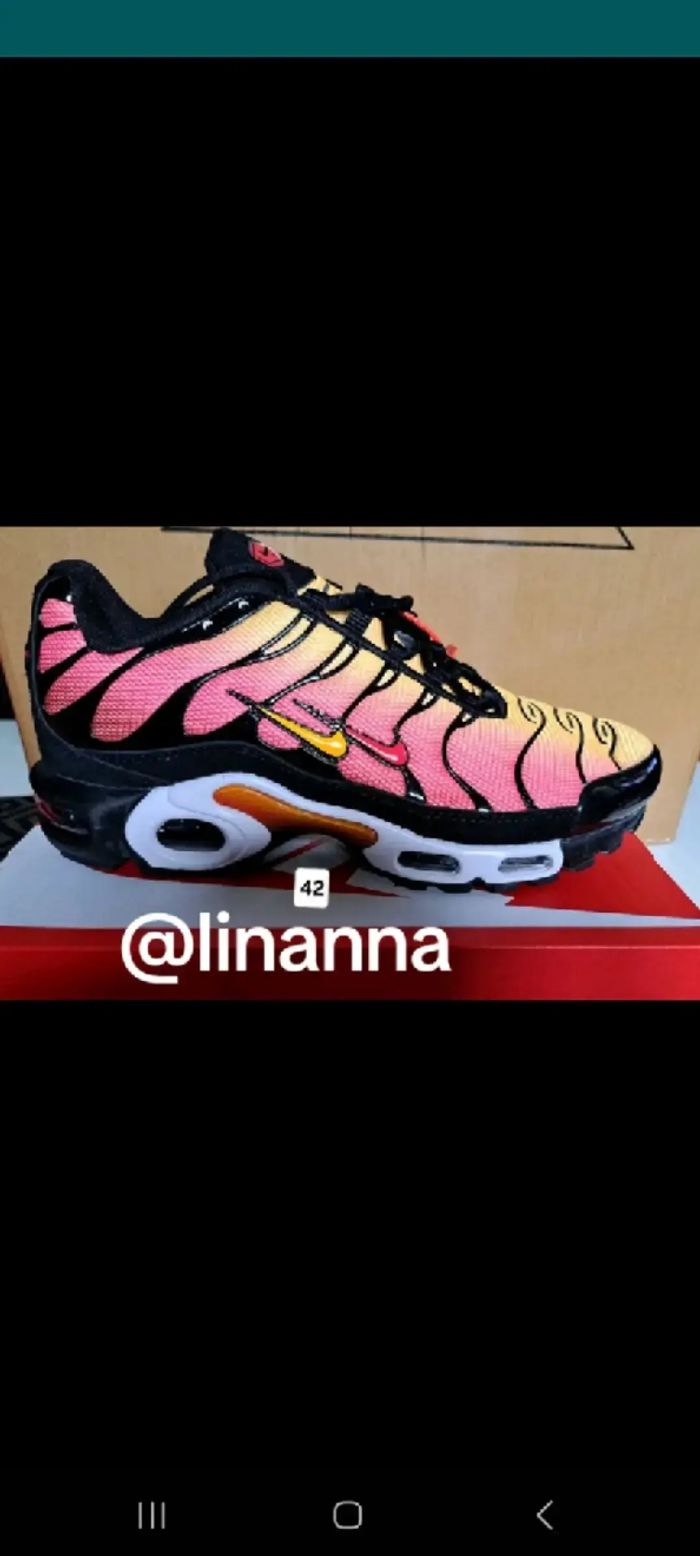 Basket tn