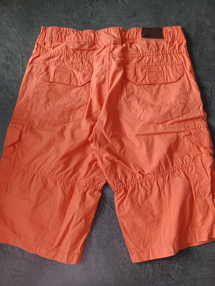 Bermuda sergent major - photo numéro 4