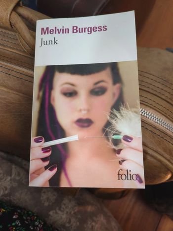 Livre Junk Melvin burgess