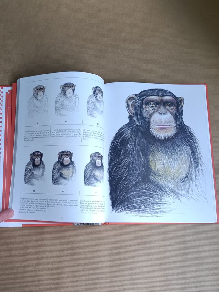 livre animaux à sauver NEUF - photo numéro 4