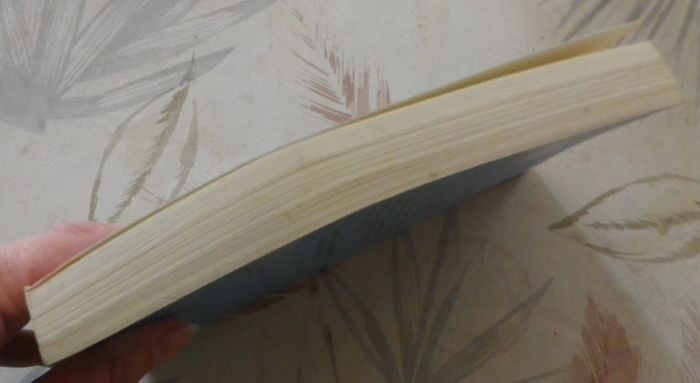 Trois mariages et un divorce de Jeanne Ray Ed. Piment - photo numéro 4