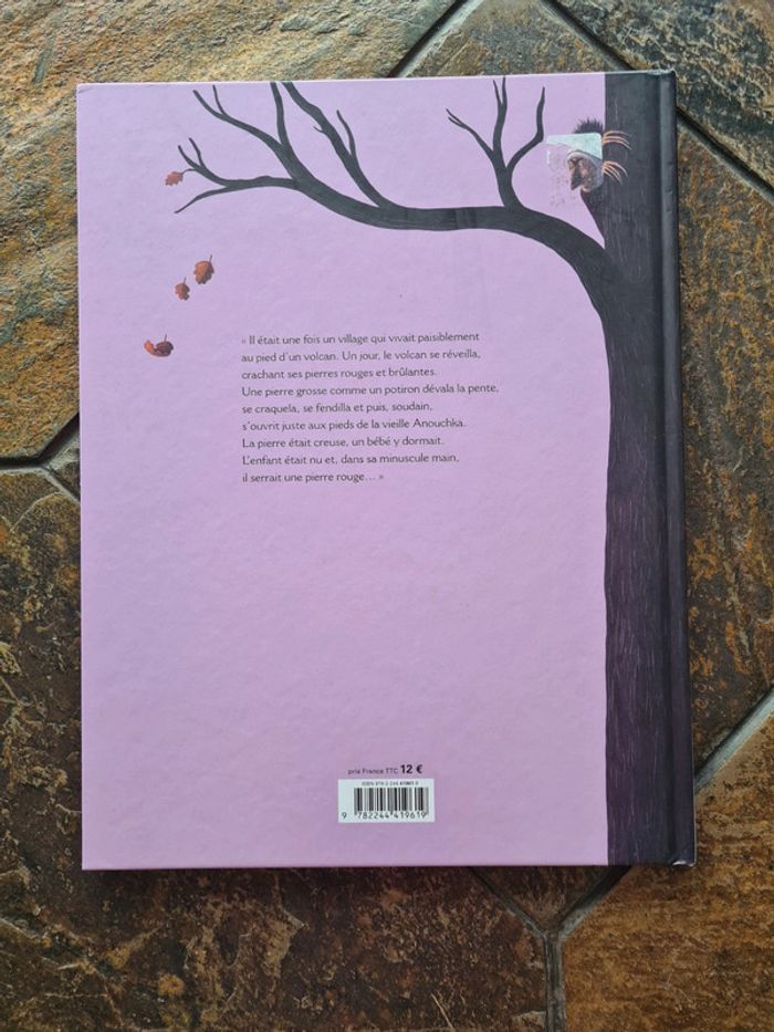 Livre - photo numéro 3