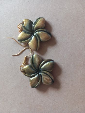 Boucles d'oreilles fantaisistes 