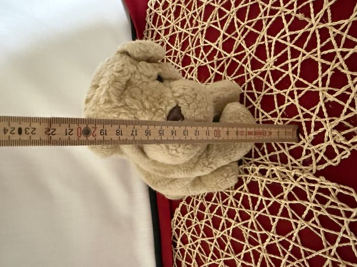 doudou chien - photo numéro 5