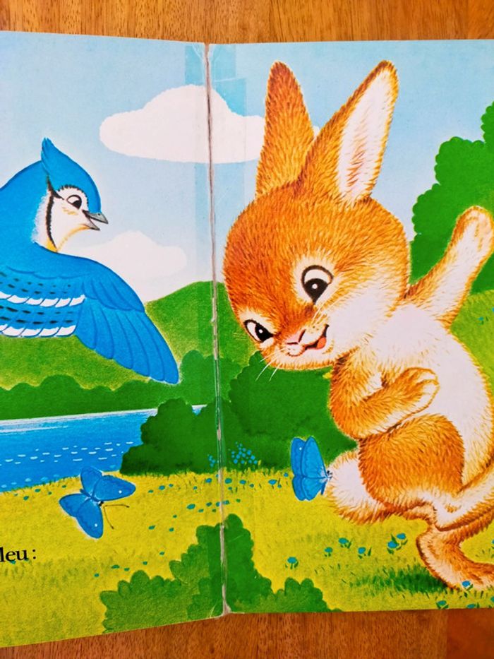 🐇Ti-Lapin et les couleurs 🌈 - photo numéro 5