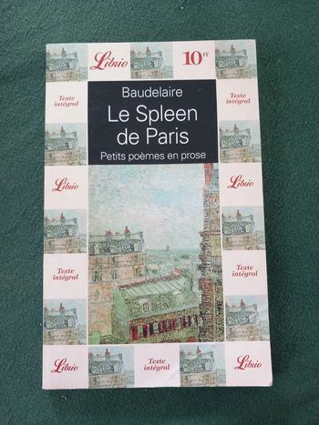Le spleen de Paris