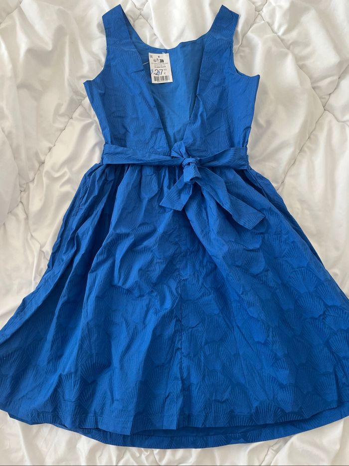 Robe bleue - photo numéro 2