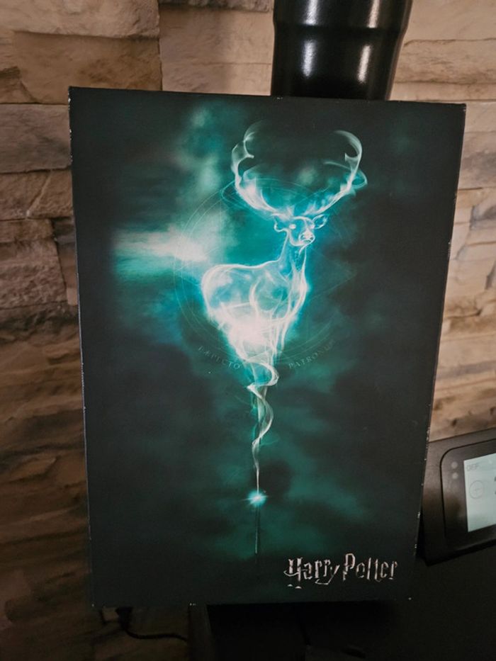 Cadre toile harry potter - photo numéro 2
