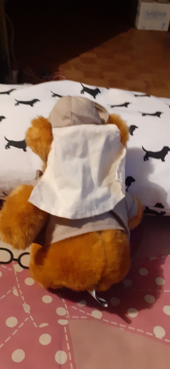 Ourson habille - photo numéro 2