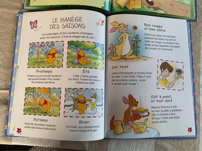 Livres Disney Winnie - photo numéro 4