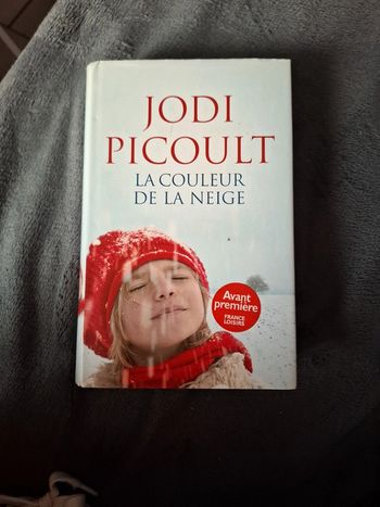 La couleur de la neige
