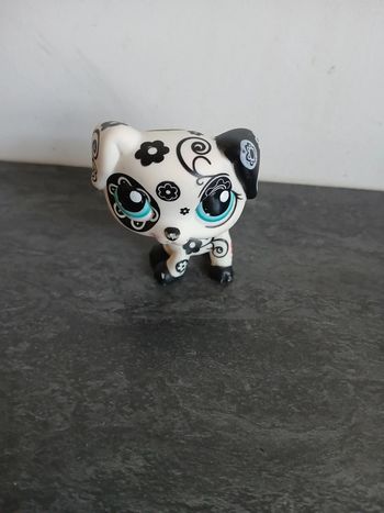 Petshop Dalmatien