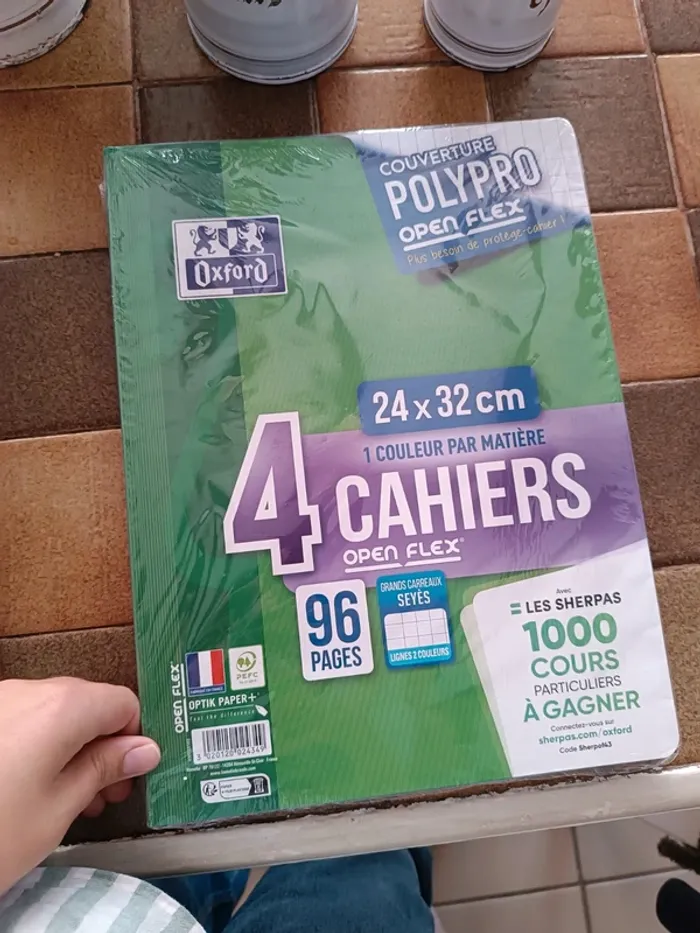 Lot de 4 cahiers Oxford polypro Open Flex 24 x 32 cm 96 pages grands carreaux neuf avec emballage