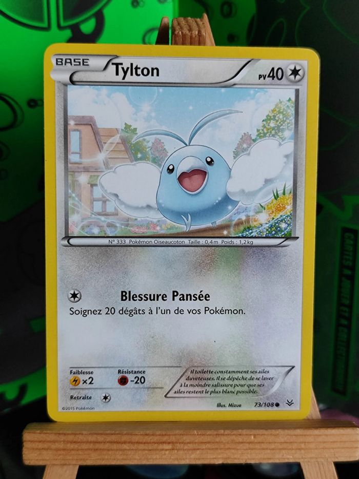 Tylton 73/108 ciel rugissant