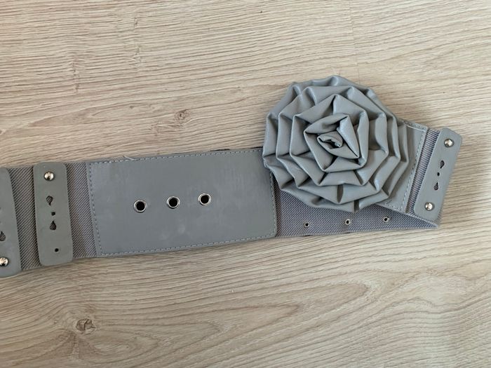 Ceinture grise - photo numéro 9